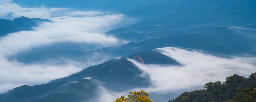 윈우산 삼림공원