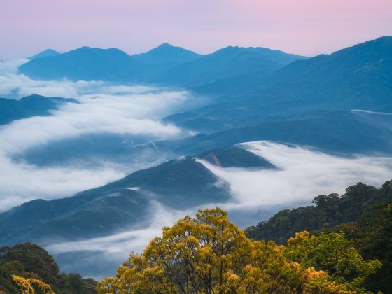 Yunwu Mountain Forest Park