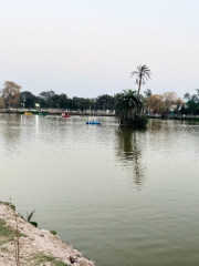 Chaman Zar e Askari Park Multan