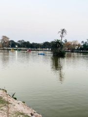 Chaman Zar Askari Lake Park