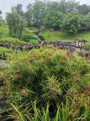 Парк водно-болотных угодий в входе в Гуйюн-Хубэй