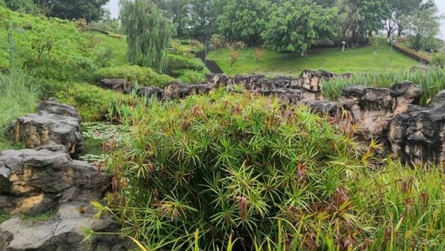 Guyu Hubei Rukou Wetland Park