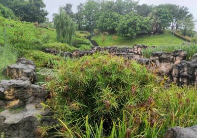 Guyu Hubei Rukou Wetland Park