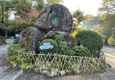 Gaoli Gongshan Botanical Garden