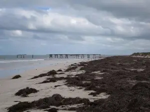 Eucla Jetty