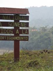 Parque Nacional Bahuaja Sonene