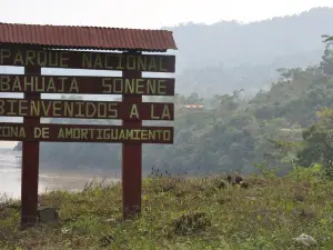 Parque Nacional Bahuaja Sonene