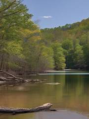 Beavers Bend State Park - Hochatown Area