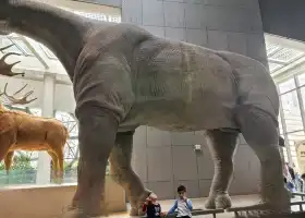 穿越侏羅紀·恐龍館