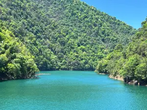 Matoushan Primeval Forest