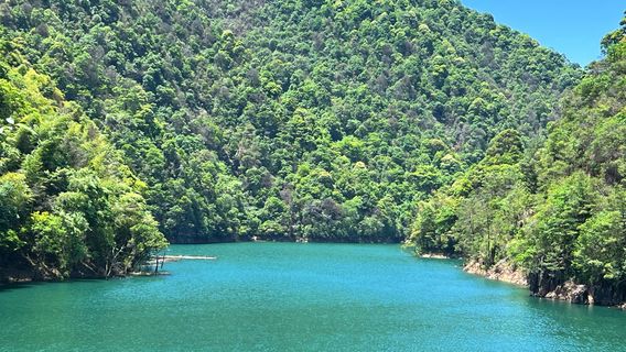 Matoushan Primeval Forest