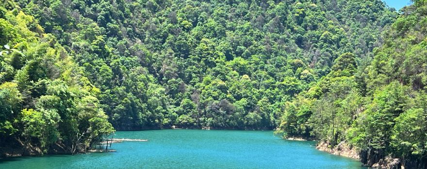 Matoushan Primeval Forest