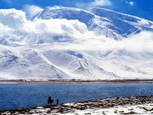 모사탑격봉(무스타거펑)