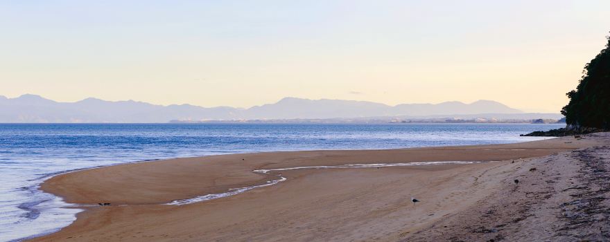 Torrent Bay in Abel Tasman National Park