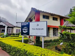 Tea Museum