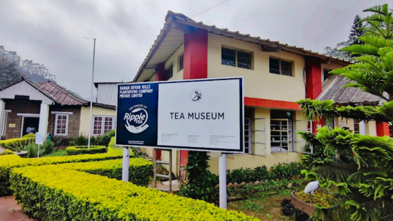 Tea Museum
