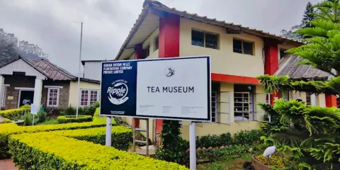 塔塔茶葉博物館
