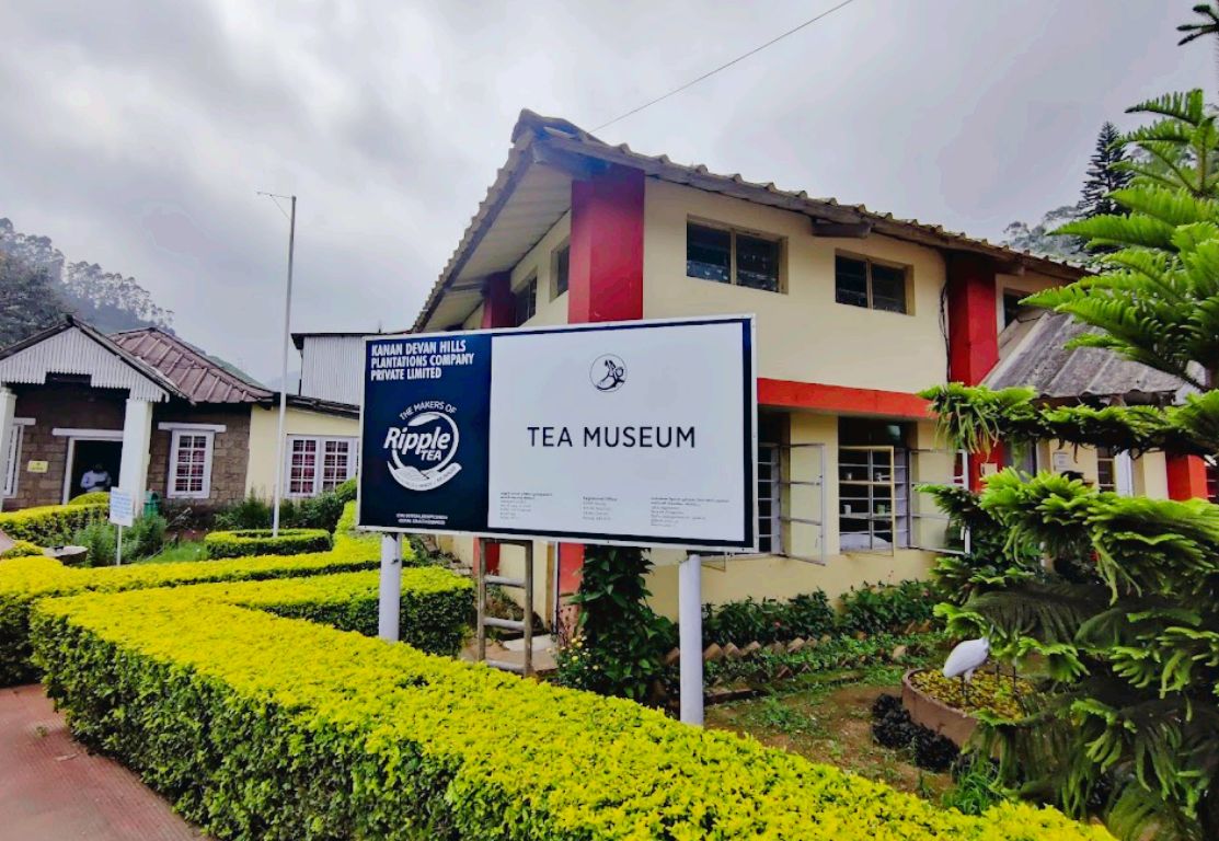 Tea Museum