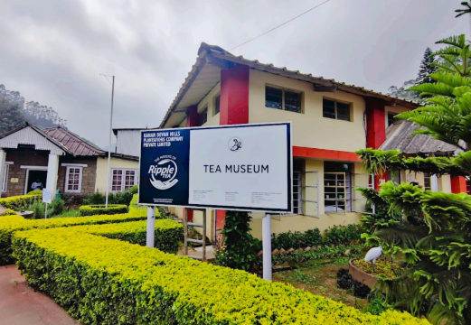 Tea Museum