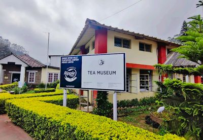 Tea Museum
