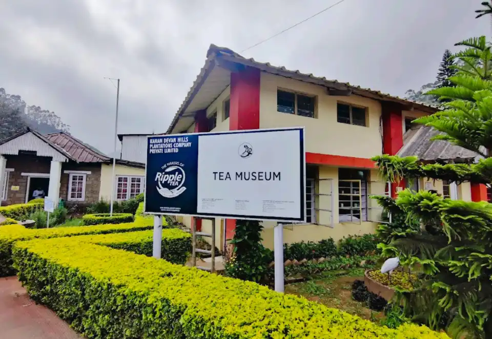 Tea Museum
