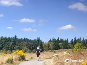 Powell Butte Nature Park