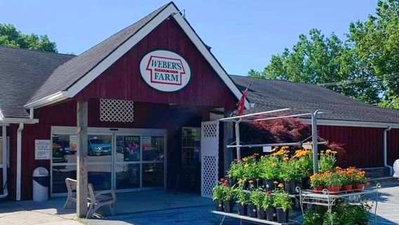 Weber's Cider Mill Farm Inc