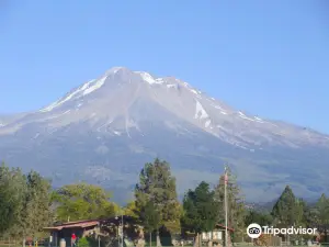 Forêt nationale de Shasta-Trinity