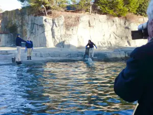 Mystic Aquarium