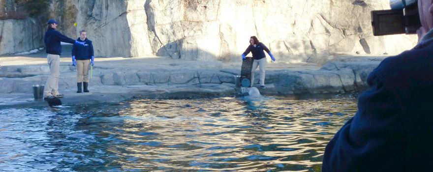 Mystic Aquarium