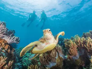 Great Barrier Reef