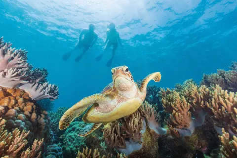 Great Barrier Reef