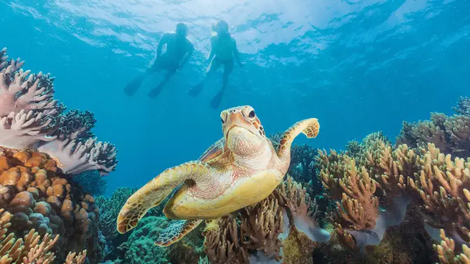 1_Great Barrier Reef