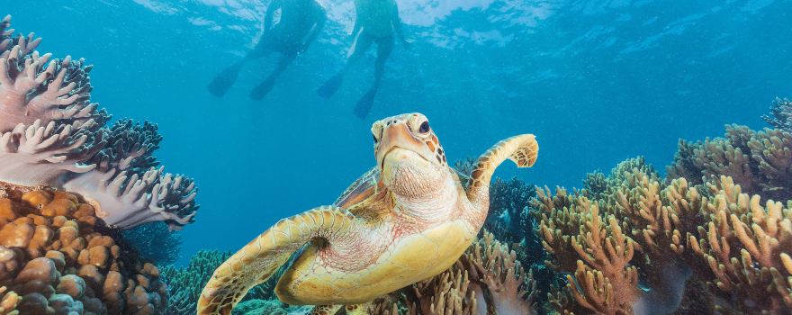 Great Barrier Reef