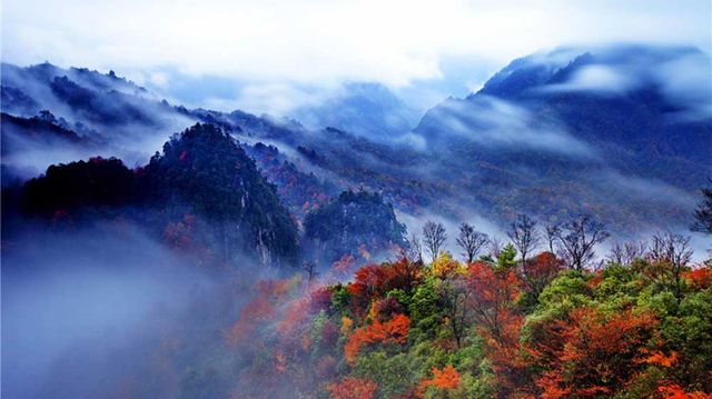 Guangwu Mountain Red Leaf Festival | Nanjiang