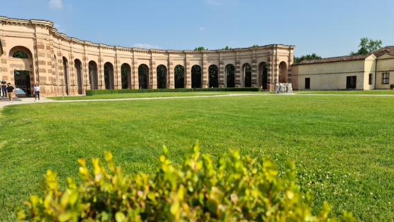Mantua