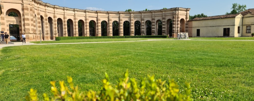 Te Park