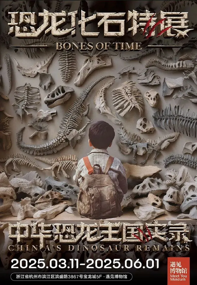 《 中華恐龍王國實錄》恐龍化石特展 | 遇見博物館（杭州館）