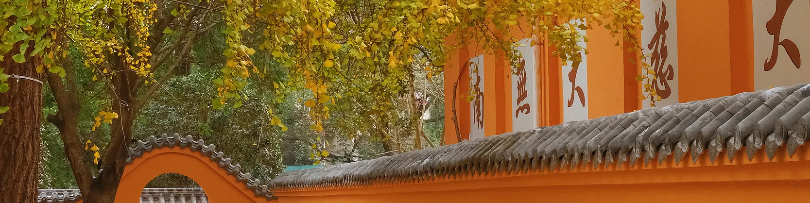 Attrazioni per la visione autunnale