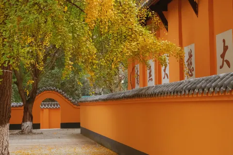 Longxing Temple