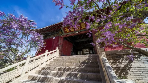 海蔵寺 attraction in 武威