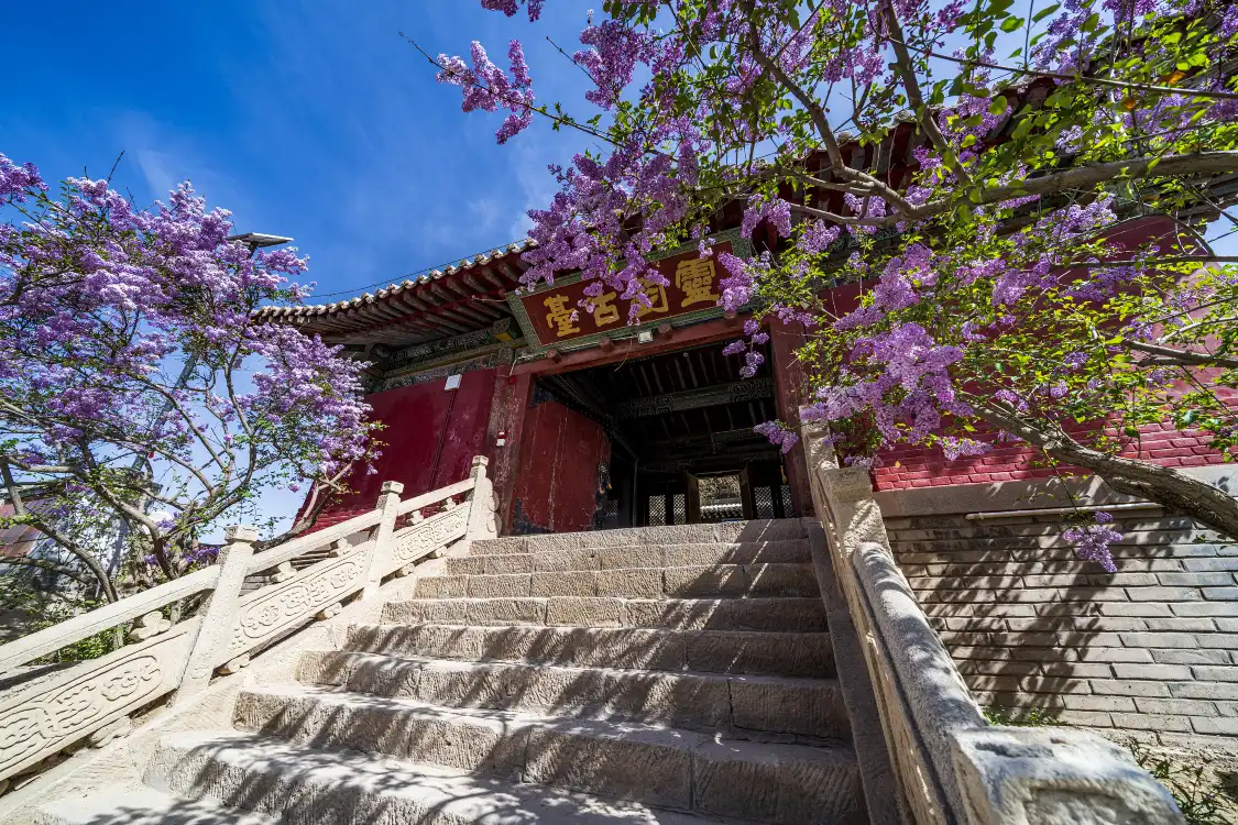 Hotels near Haicang Temple