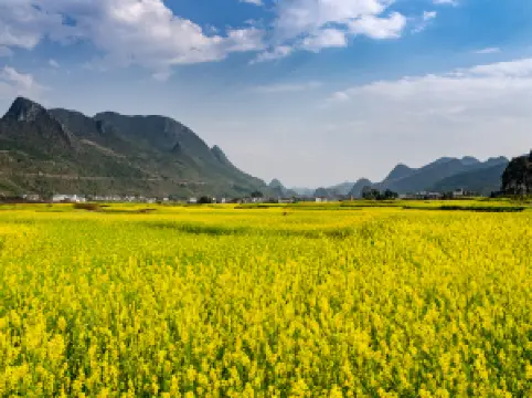 Wanfenglin Scenic Area