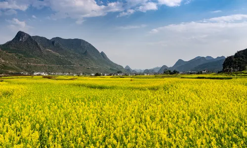 Wanfenglin Scenic Area