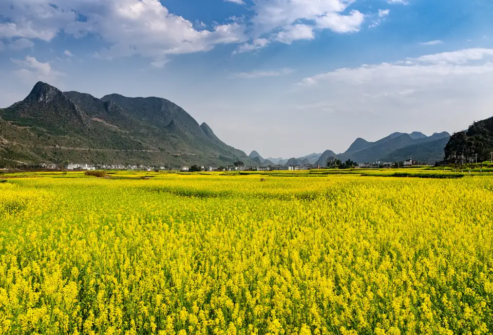 4_Wanfenglin Scenic Area