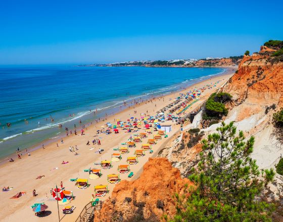 阿爾布費拉 自由行套票