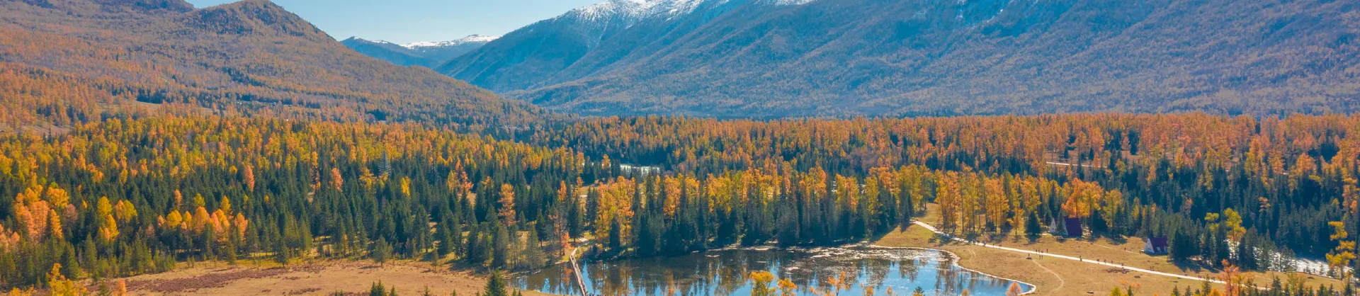 Attrazioni per la visione autunnale