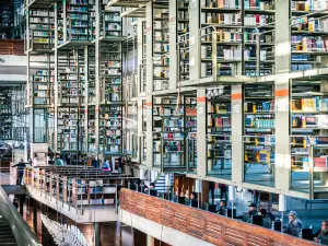 Vasconcelos library