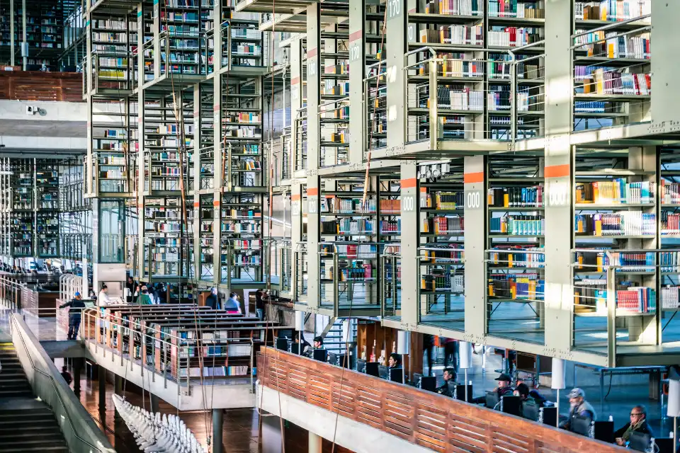 2_Vasconcelos library