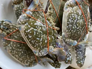 좀티엔 탈레 파오